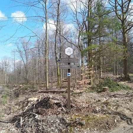 Le Vieux Noyer Bed and Breakfast 3*