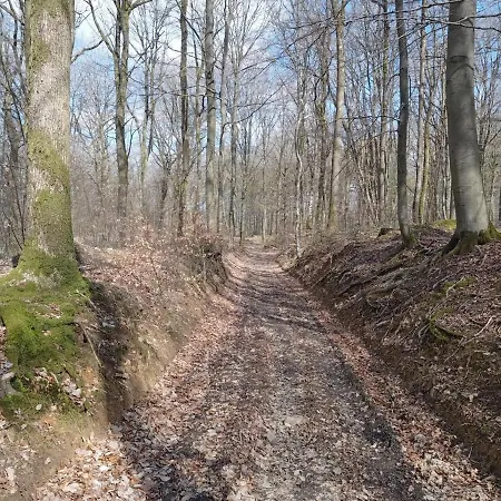 Le Vieux Noyer Bed & Breakfast Nassogne