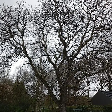 Le Vieux Noyer Nassogne