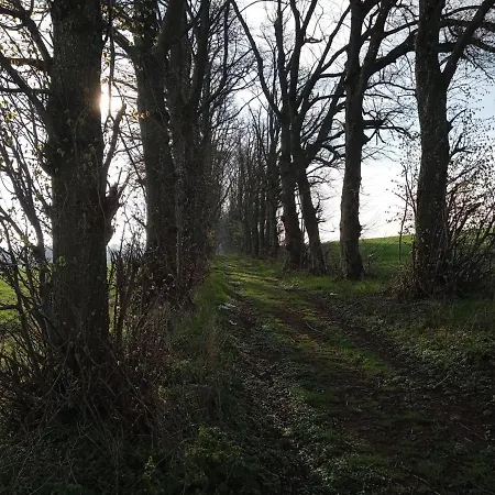 Le Vieux Noyer Nassogne