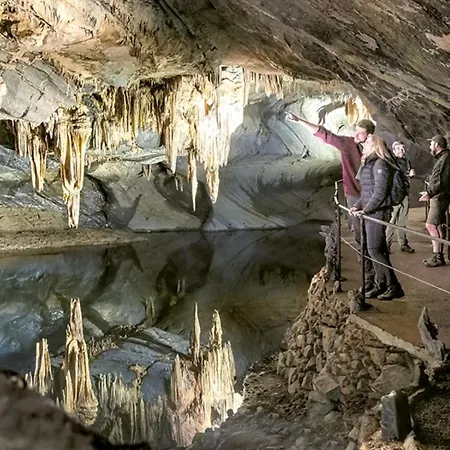 Bed & Breakfast Le Vieux Noyer